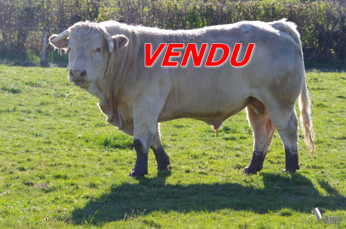 vendu