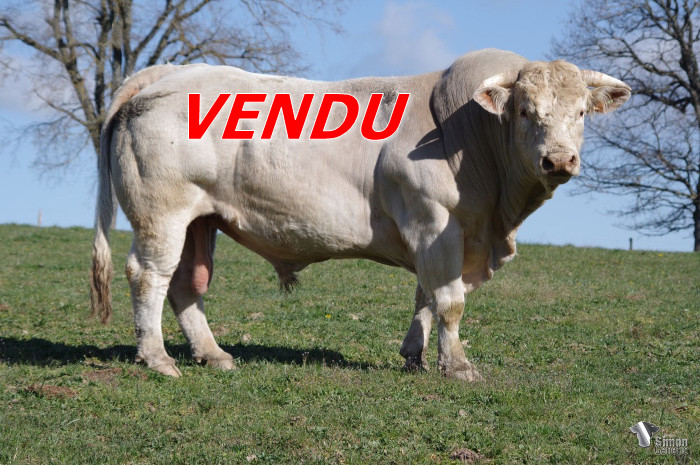 Félicitations à Ludovic Gheeraert