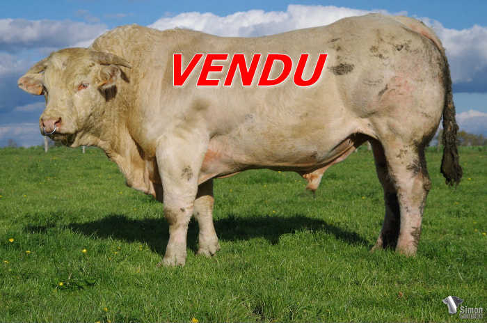 vendu