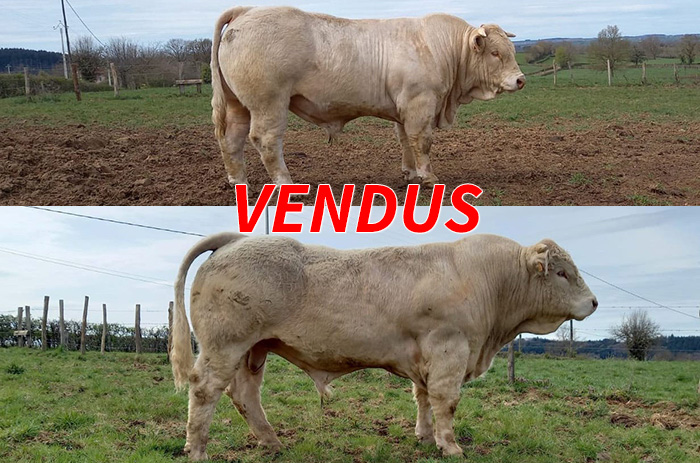 11052021-vendus