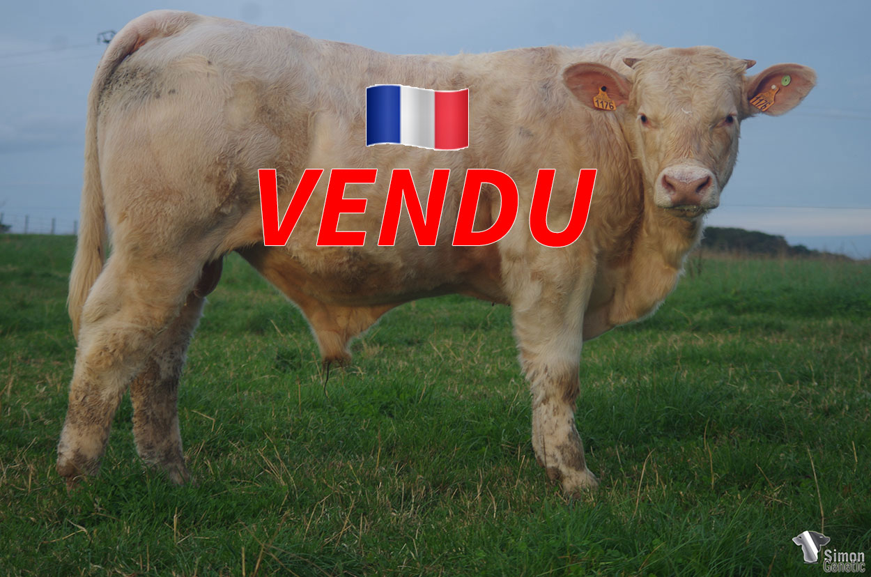 <b>RASPAIL</b><br />
<b style="color:red">VENDU à M. RIMELEN Jean-Claude (68 - France)</b><br />
Né le : 29/12/2020<br /><b>"Un embryon issu de parents exceptionnels !"</b><br />"An embryo out of excellent parents !"<br /><I>"¡ Un embrión que proviene de muy buenos padres !"</i><br /><img src="https://www.simongenetic.com/storage/2021/01/icon-pdf.png" /> <a class="img-wrap-spe" href="https://www.simongenetic.com/storage/2021/10/raspailgiroux.pdf" target="_blank" rel="noopener">Pédigrée ici</a><br /><img src="https://www.simongenetic.com/storage/2021/02/icon-call.png" /> <a class="img-wrap-spe" href="https://www.simongenetic.com/contact?subj-obj=giroullectionraspail" target="_blank" rel="noopener">Je veux être contacté par Simon Genetic</a><br />
