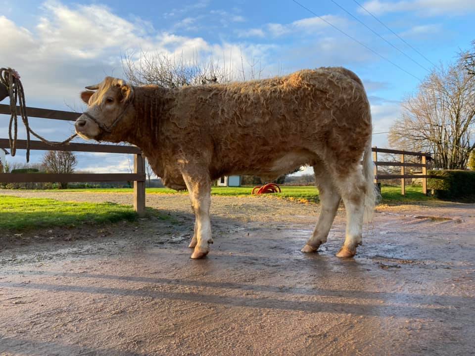 133673023_1639076726270114_8602276774996961559_n