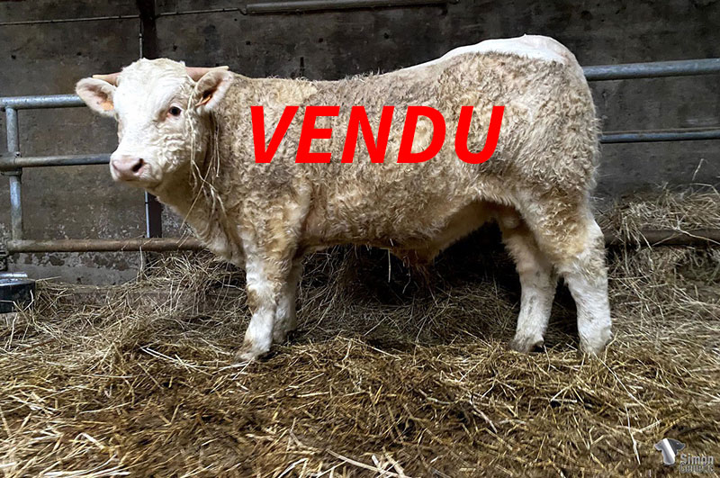 2021-01-14-vendu