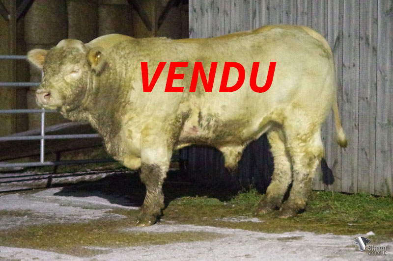 lotjt161-vendu