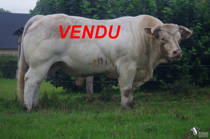 Félicitations aux deux éleveurs nivernais