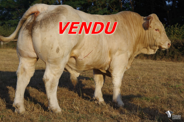 vendu