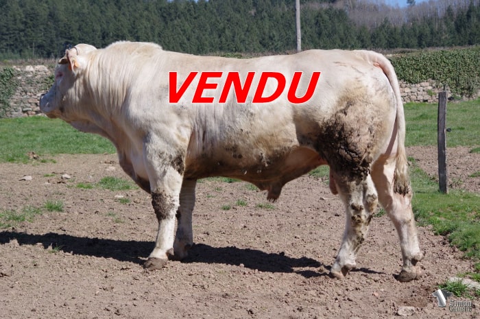 vendu