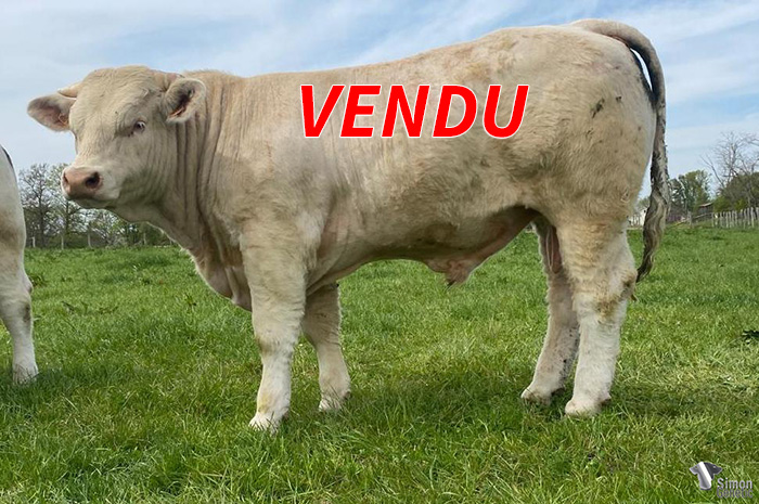 lotvm624-vendu