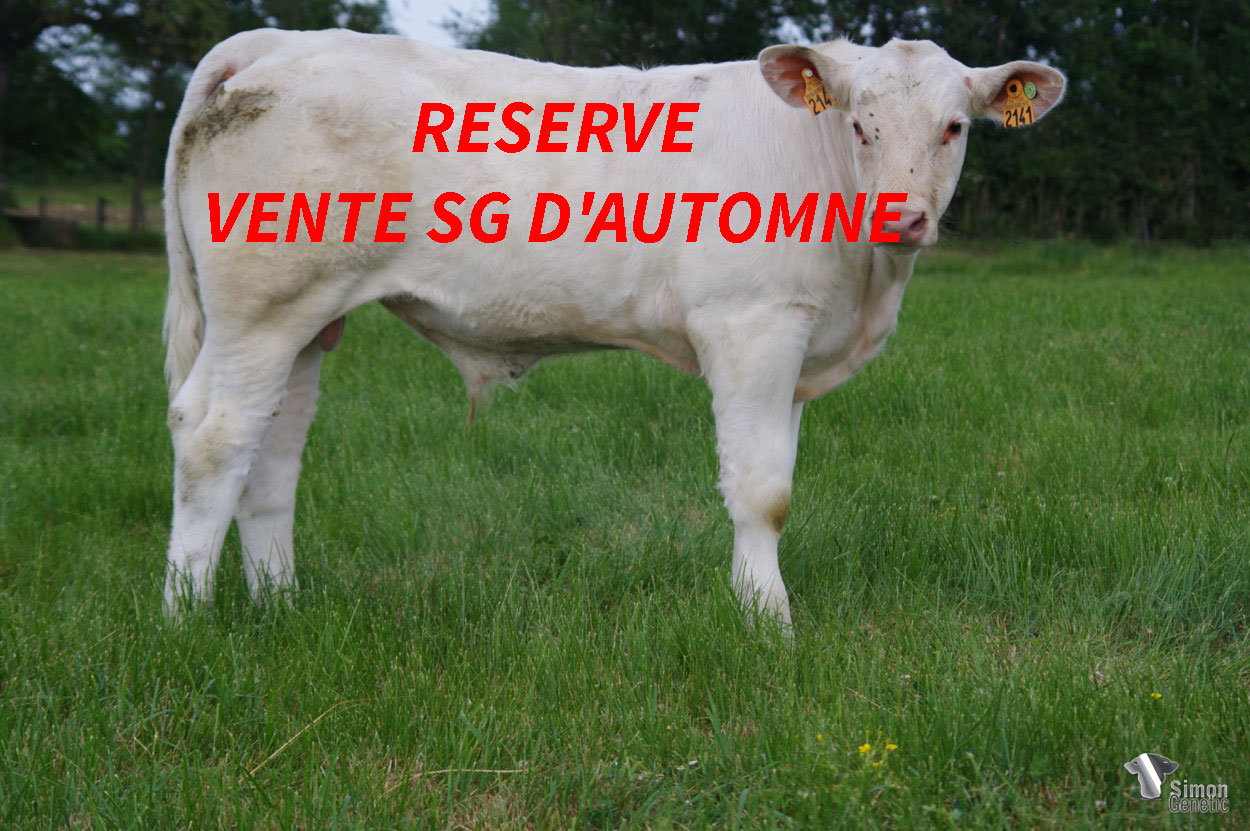<b>SINGAPOUR</b><br />Né le : 31/12/2021<br /><b>"Un tout jeune homozygote sans-cornes plein d'avenir à l'image de la production d' OTTAWA !"</b><br />"A young homozygous polled animal that predicts a bright future like the OTTAWA production!"<br /><i>"¡Un joven homocigoto sin cuernos, lleno de promesas a la imagen de la producción de OTTAWA!"</i><br /><img src="https://www.simongenetic.com/wp-content/uploads/2021/01/icon-pdf.png" /> <a class="img-wrap-spe" href="https://www.simongenetic.com/wp-content/uploads/2022/05/singapourlag.pdf" target="_blank" rel="noopener">Pédigrée ici</a><br /><img src="https://www.simongenetic.com/wp-content/uploads/2021/02/icon-call.png" /> <a class="img-wrap-spe" href="https://www.simongenetic.com/contact?subj-obj=lagowllection2022-singapourlag" target="_blank" rel="noopener">Je veux être contacté par Simon Genetic</a><br />