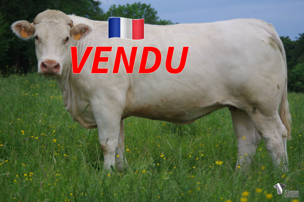 <b style="color:#FF0000">VENDU au GAEC AZEVEDO (03 - France) </b><br /><b>RIZZA</b><br />Né le : 11/12/2019<br /><img src="https://www.simongenetic.com/wp-content/uploads/2021/01/icon-pdf.png" /> <a class="img-wrap-spe" href="https://www.simongenetic.com/wp-content/uploads/2022/06/rizzaguer.pdf" target="_blank" rel="noopener">Pédigrée ici</a><br /><img src="https://www.simongenetic.com/wp-content/uploads/2021/02/icon-call.png" /> <a class="img-wrap-spe" href="https://www.simongenetic.com/contact?subj-obj=cowllectionguerinet2022-rizzaguer" target="_blank" rel="noopener">Je veux être contacté par Simon Genetic</a><br />