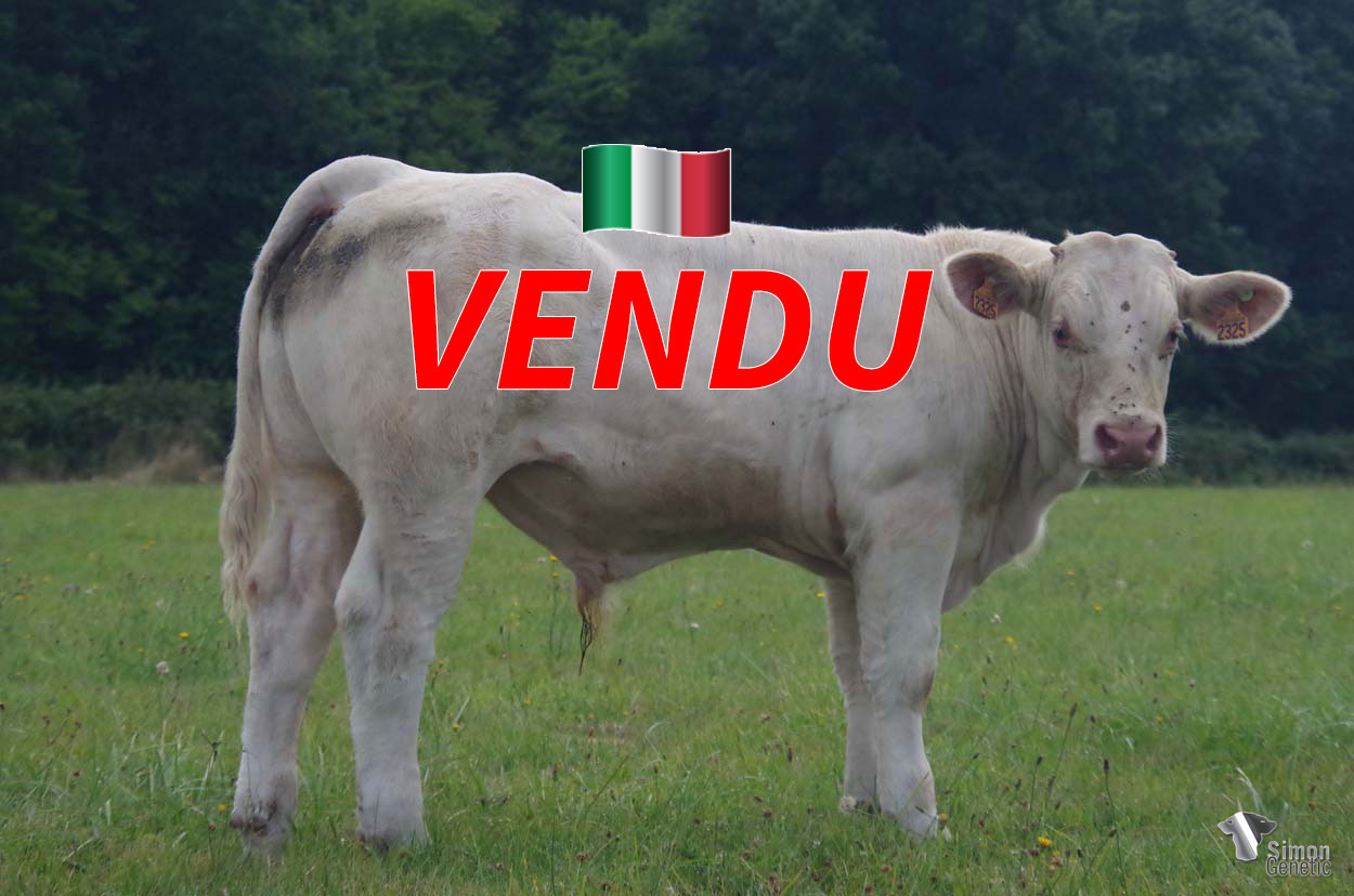 <b style="color:#FF0000">VENDU en Italie</b><br /><b>TOP DU TOP</b><br />Né le : 5/1/2022<br /><b>"Un digne fils de REGLISSE : un animal très sympa !"</b><br />"A worthy son of REGLISSE: a very nice animal!"<br /><i>"Un digno hijo de REGLISSE: ¡un animal muy bonito!"</i><br /><img src="https://www.simongenetic.com/wp-content/uploads/2021/01/icon-pdf.png" /> <a class="img-wrap-spe" href="https://www.simongenetic.com/wp-content/uploads/2022/07/topdutopmon.pdf" target="_blank" rel="noopener">Pédigrée ici</a><br /><img src="https://www.simongenetic.com/wp-content/uploads/2021/02/icon-call.png" /> <a class="img-wrap-spe" href="https://www.simongenetic.com/contact?subj-obj=fidowllection2022-topdutopmon" target="_blank" rel="noopener">Je veux être contacté par Simon Genetic</a><br />